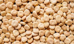 what are lupini beans health benefits