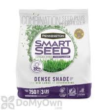 dense shade gr seed mix