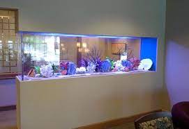 Home Aquarium Wall gambar png