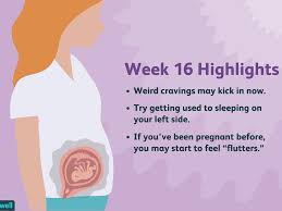 16 Weeks Pregnant Symptoms Baby Development And More