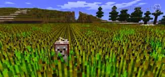 Growing Crops Minecraft 101