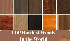 top 15 hardest woods in the world you