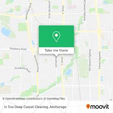too deep carpet cleaning in anchorage