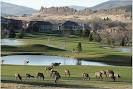 Elk at Mariana Butte - Picture of Mariana Butte Golf Course ...