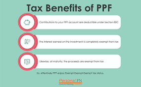 All You Need To Know About Ppf