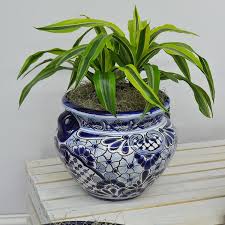 White Ceramic Planters Blue Plant Pot