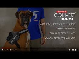 How To Fit A Dog Harness Ezydog Convert Dog Harness