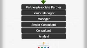 Deloitte Career Hierarchy Chart Hierarchystructure Com