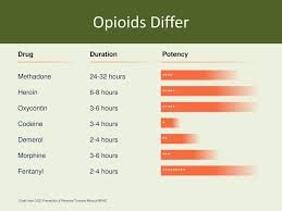 Opioid Overdose Prevention Training Of Trainers Ppt Download