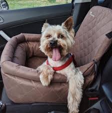 Comfy Dog Car Seat For 2 Small Dogs