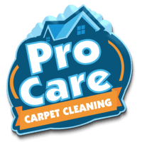the 1 carpet cleaning company in