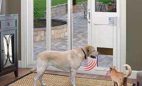 how to choose a dog door