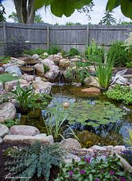 7 Tips For Planting Your Pond