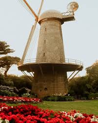 Dutch Windmills In Golden Gate Park