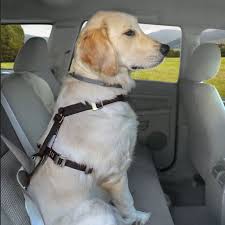 Tru Fit Smart Dog Car Harness