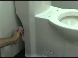 Dual Flush Flowise Toilet