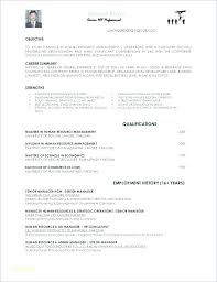Resume With No Work Experience Englishor Com