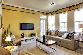 50 Yellow Living Room Ideas Photos