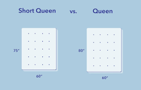 short queen vs queen sleepopolis
