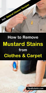 remove mustard stains from clothes carpet
