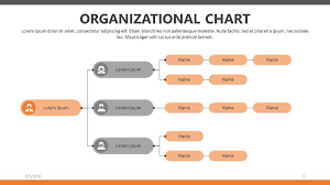 011 Organisation Chart Template Ppt Free The Horizontal