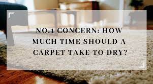carpet take to dry