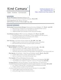 professional resume template with a resume summary example