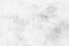 74 000 white background pictures