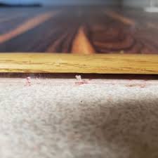 shans carpets fine flooring 19