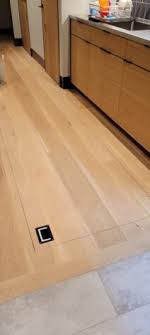 floor door hinge system brandner design