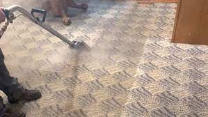 carpet cleaning restoration and
