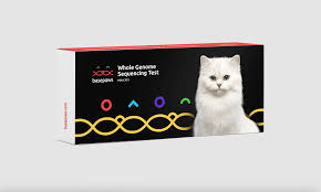 cat dna tests the best options for