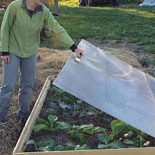 These are serious faming folk! 4 Ways To Use A Cold Frame Finegardening