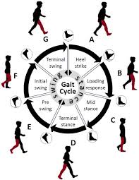 Deep Learning for Monitoring of Human Gait: A Review