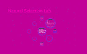 I believe that the colors that are more easy to spot will be eaten or taken in by the predators. 5 02 Natural Selection Lab By Herlina Everett