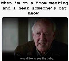 Click for more funny memes, our community's best zoom memes, and our entire library of zoom memes. Memebase Zoom Meeting All Your Memes In Our Base Funny Memes Cheezburger