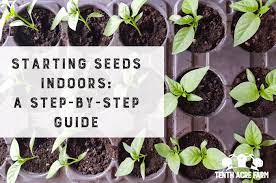 starting seeds indoors a step by step
