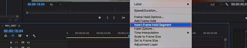 create freeze frame in adobe premiere pro
