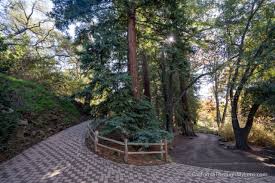 santa barbara botanical gardens