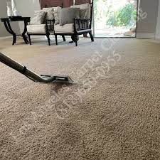 organic carpet cleaning get the child