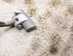 carpet cleaning services belleville il