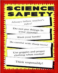 Make A Science Fair Project Poster Ideas Scienc Safety