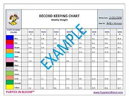 Puppies In Bloom Record Keeping Charts For Breeders With 8 Inch Puppy Id Bands Included