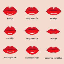 9 diffe types of lip shapes chart