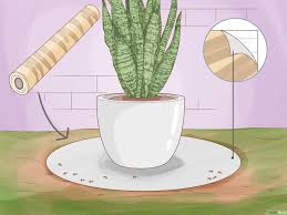 how to remove ants from potted plants