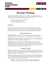 How to Write A Winning Resume Objective  Examples Included     Ruby Red Panther