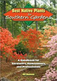 Best Native Plants For Southern Gardens