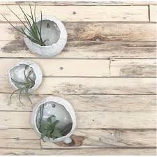 Hanging Wall Planter Indoor Pod