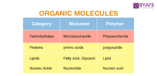organic molecules types of organic