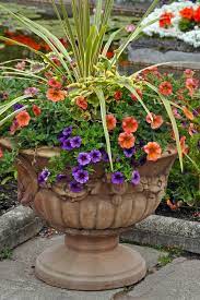 Container Flower Garden Ideas